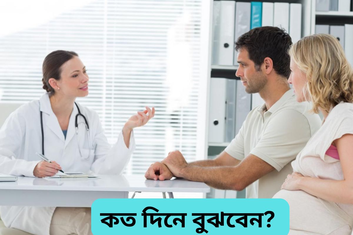 understanding pregnancy symptoms