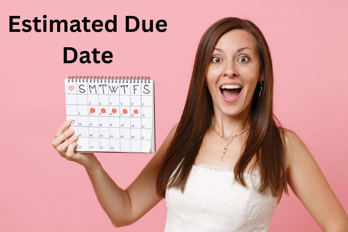 How to calculate Estimated Due Date