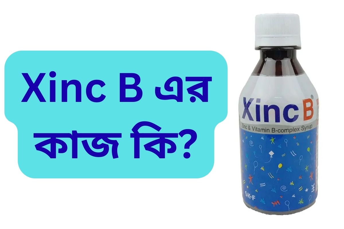 What is the function of Xinc B